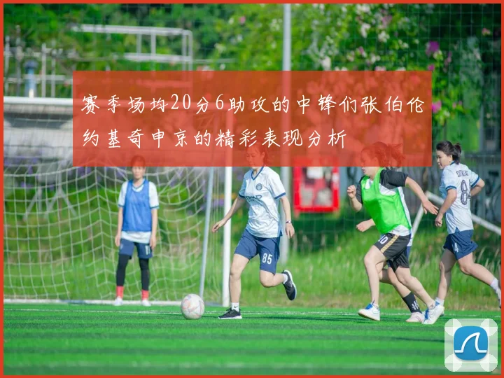 赛季场均20分6助攻的中锋们张伯伦约基奇申京的精彩表现分析